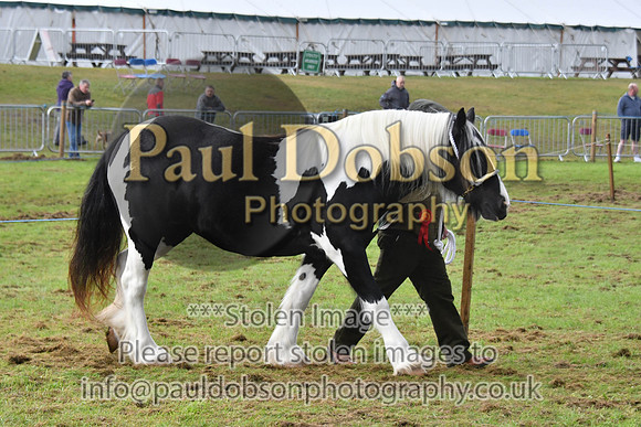 cih_3794c