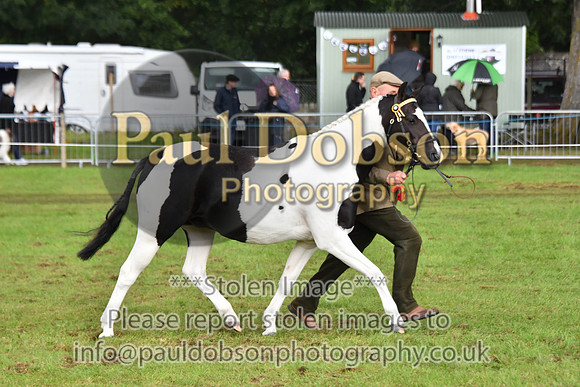 cih_3813c