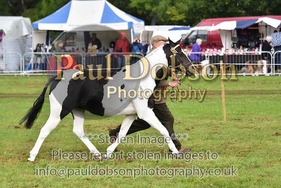 cih_3811c