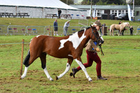 cih_3799c