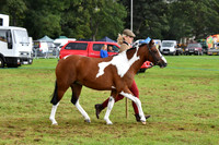 cih_3806c