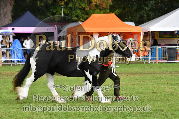 cih_3834c