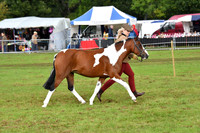 cih_3801c