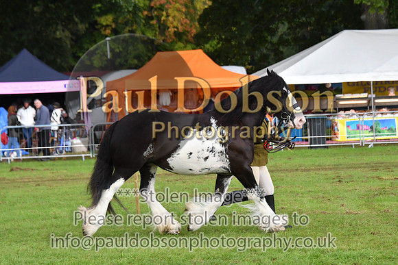cih_3843c