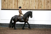 Class 21-RIHS Heritage M and M Open Ridden Fells Dales Highland