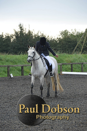 dressage-4569