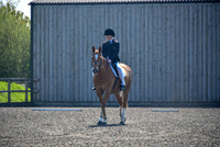 Dressage-12.00 - 13.00