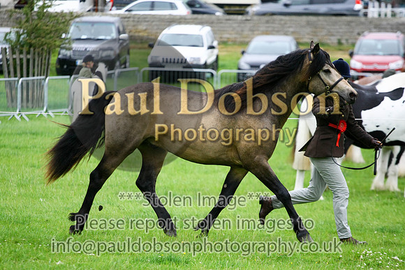 mmic2832f