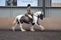 18-Native,Cob,Trad Ridden Pony