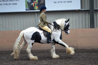 CHAPS-7691