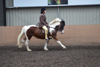 CHAPS-7690