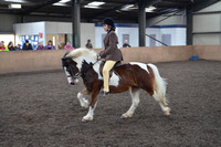 CHAPS-7696