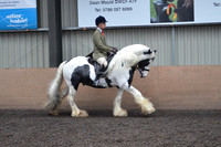 CHAPS-7685