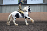 CHAPS-7680