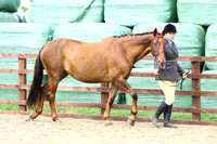 BRC2015-1108