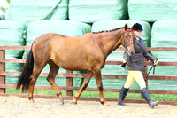 BRC2015-1109