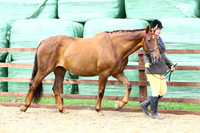 BRC2015-1110