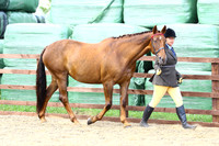 BRC2015-1107