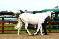 BRC2015-1112