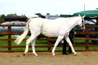 BRC2015-1111