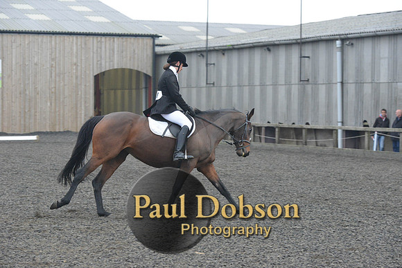 dressage-5865
