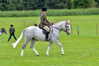 scc_2054b