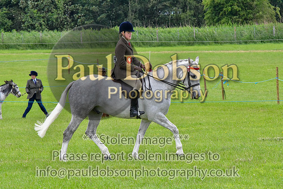 scc_2054b