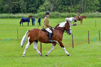 scc_2062b