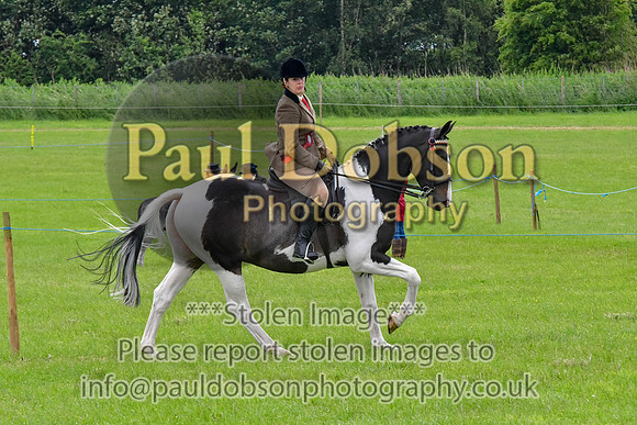 scc_2076b