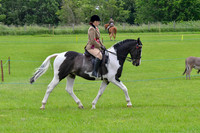 scc_2065b
