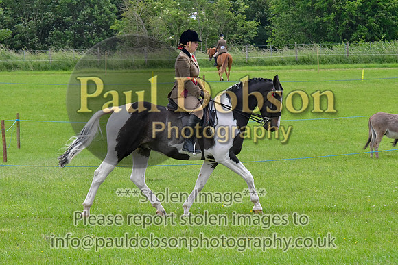 scc_2065b
