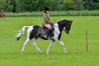 scc_2066b