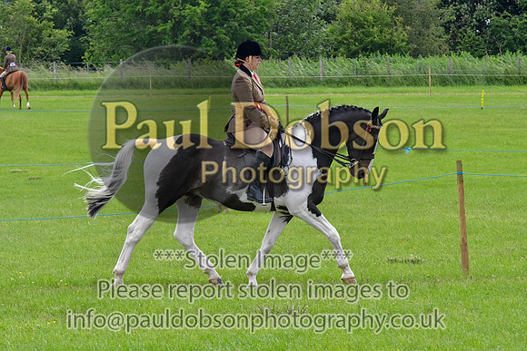 scc_2066b