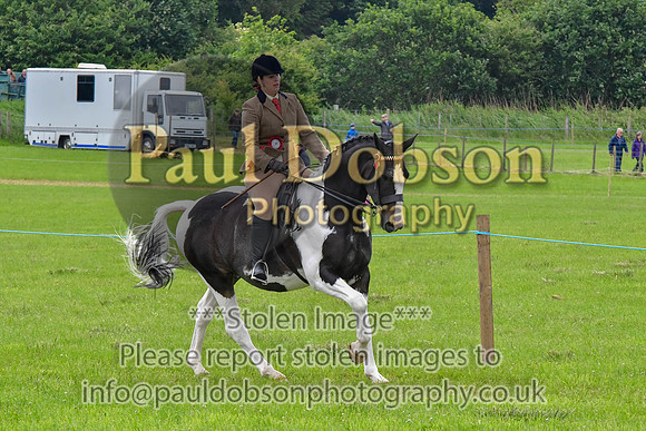 scc_2077b