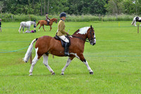 scc_2063b