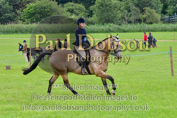 scc_2082b