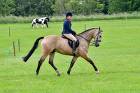 scc_2061b