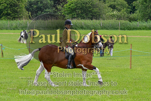 scc_2071b