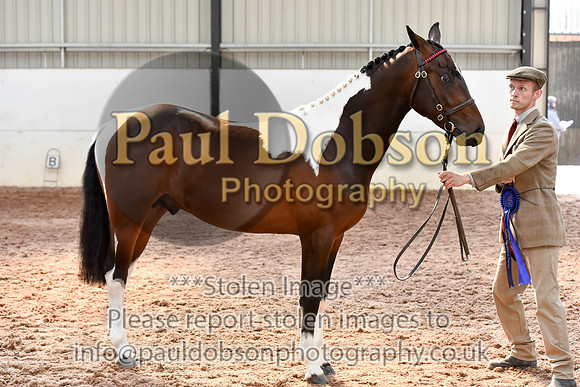 _ihc5559