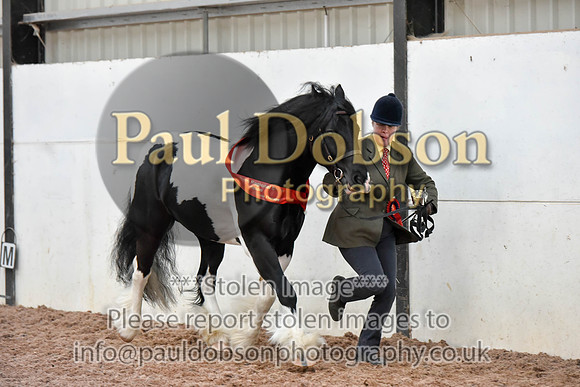 _ihc5565