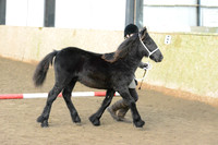 SNWPCA-6539