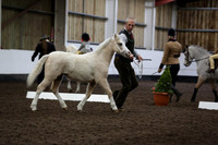 NECWPCA-178