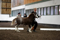 NECWPCA-174