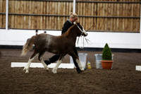 NECWPCA-173