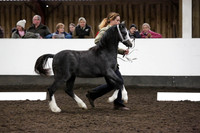 NECWPCA-181