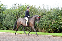 Class 52 Mixed Open-Show Pony