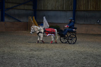 Stonechester-7495