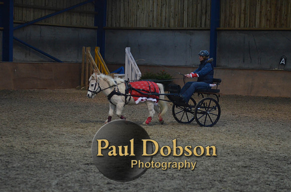 Stonechester-7495