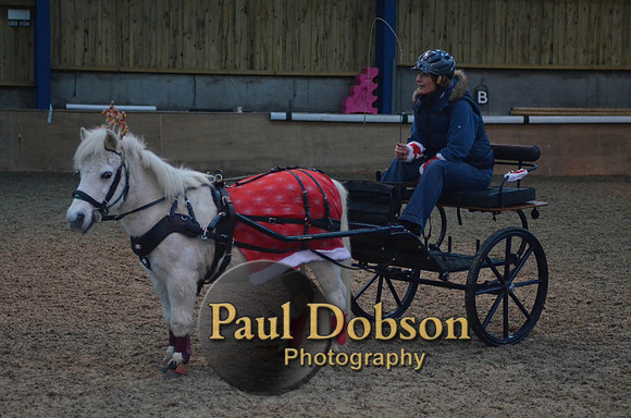 Stonechester-7483