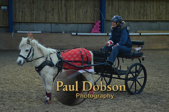 Stonechester-7484